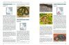 Handbook of Amphibians and Reptiles of North-East Africa