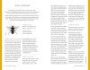 The Wild Bee Handbook