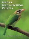 Birds & Birdwatching in India