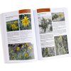 Plants of Extra-Andean Patagonia: Field Guide to Vascular Plants of the Patagonia Steppe and Southern Monte / Plantas de la Patagonia Extra-Andina: Guía para el Reconocimiento de Plantas Vasculares de la Estepa Patagónica y Monte Austral