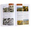 Plants of Extra-Andean Patagonia: Field Guide to Vascular Plants of the Patagonia Steppe and Southern Monte / Plantas de la Patagonia Extra-Andina: Guía para el Reconocimiento de Plantas Vasculares de la Estepa Patagónica y Monte Austral