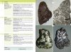 The Minerals Encyclopedia