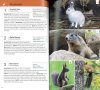 Field Guide to Alpine Wildlife