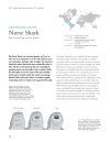 The Lives of Sharks
