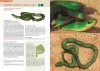 Reptiles de Buenos Aires [Reptiles of Buenos Aires]