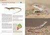 Reptiles de Buenos Aires [Reptiles of Buenos Aires]