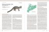 Grans Mamífers de Catalunya i Andorra: Distribució, Biologia, Ecologia i Conservació [Large Mammals of Catalonia and Andorra: Distribution, Biology, Ecology and Conservation]