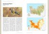 Nouvel Atlas des Oiseaux de Normandie [New Atlas of the Birds of Normandy]