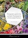 Photographic Guide to the Wild Flowers of the Limpopo Province