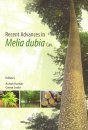 Recent Advances in Melia dubia Cav.