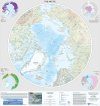 Antarctica and the Arctic (Map)