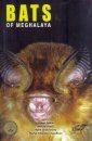 Bats of Meghalaya