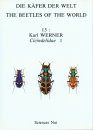 The Beetles of the World, Volume 13: Cicindelidae (Part 1)