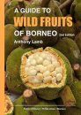 A Guide to Wild Fruits of Borneo