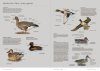 Aves de Europa: Identificación de Todas las Especies y Plumajes [Handbook of European Birds: All Characteristics in Pictures] (2-Volume Set)
