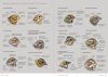 Aves de Europa: Identificación de Todas las Especies y Plumajes [Handbook of European Birds: All Characteristics in Pictures] (2-Volume Set)