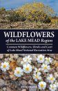 Wildflowers of the Lake Mead Region