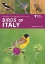 Birds of Italy