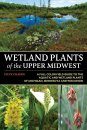 Wetland Plants of the Upper Midwest