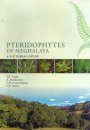 Pteridophytes of Meghalaya