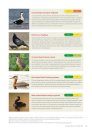 European Red List of Birds 2021