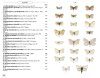 Moths of Europe, Volume 7