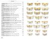 Moths of Europe, Volume 7