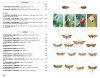Papillons de Nuit d'Europe, Volume 7: Microlépidoptères 1: Micropterigidae à Tortricidae [Moths of Europe, Volume 7: Microlepidoptera 1: Micropterigidae to Tortricidae]
