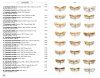 Papillons de Nuit d'Europe, Volume 7: Microlépidoptères 1: Micropterigidae à Tortricidae [Moths of Europe, Volume 7: Microlepidoptera 1: Micropterigidae to Tortricidae]