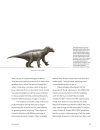 Dinosaur Behavior