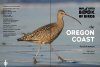Best Little Book of Birds: The Oregon Coast