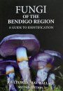 Fungi of the Bendigo Region
