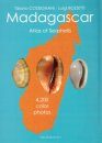 Madagascar: Atlas of Seashells / Madagascar: Atlante delle Conchiglie Marine