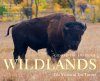 Conserving America's Wild Lands