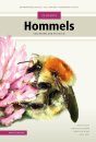 Veldgids Hommels van Nederland en België [Field Guide to Bumblebees of the Netherlands and Belgium]