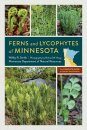 Ferns and Lycophytes of Minnesota