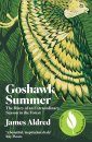 Goshawk Summer