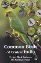 Common Birds of Central India