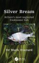 Silver Bream