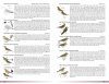 Field Guide to Birds of Greater Southern Africa