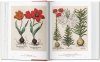 A Garden Eden: Masterpieces of Botanical Illustration [English / French / German]