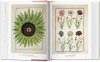 A Garden Eden: Masterpieces of Botanical Illustration [English / French / German]