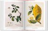 A Garden Eden: Masterpieces of Botanical Illustration [English / French / German]