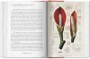 A Garden Eden: Masterpieces of Botanical Illustration [English / French / German]