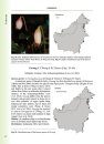 The Endemic Plant Genera of Borneo