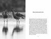 Een Gruttoparadijs: Weidevogelbeschermers aan het Woord [A Paradise for Godwits: Meadow Bird Protectors Speak]