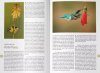Picaflores en Argentina y Sudamérica: Historia Natural y Biodiversidad [Hummingbirds in Argentina and South America: Natural History and Biodiversity]