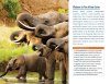 Fodor's The Complete Guide to African Safaris