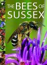The Bees of Sussex