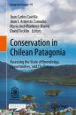 Conservation in Chilean Patagonia